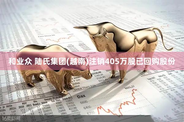 和业众 陆氏集团(越南)注销405万股已回购股份