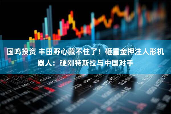 国鸣投资 丰田野心藏不住了！砸重金押注人形机器人：硬刚特斯拉与中国对手